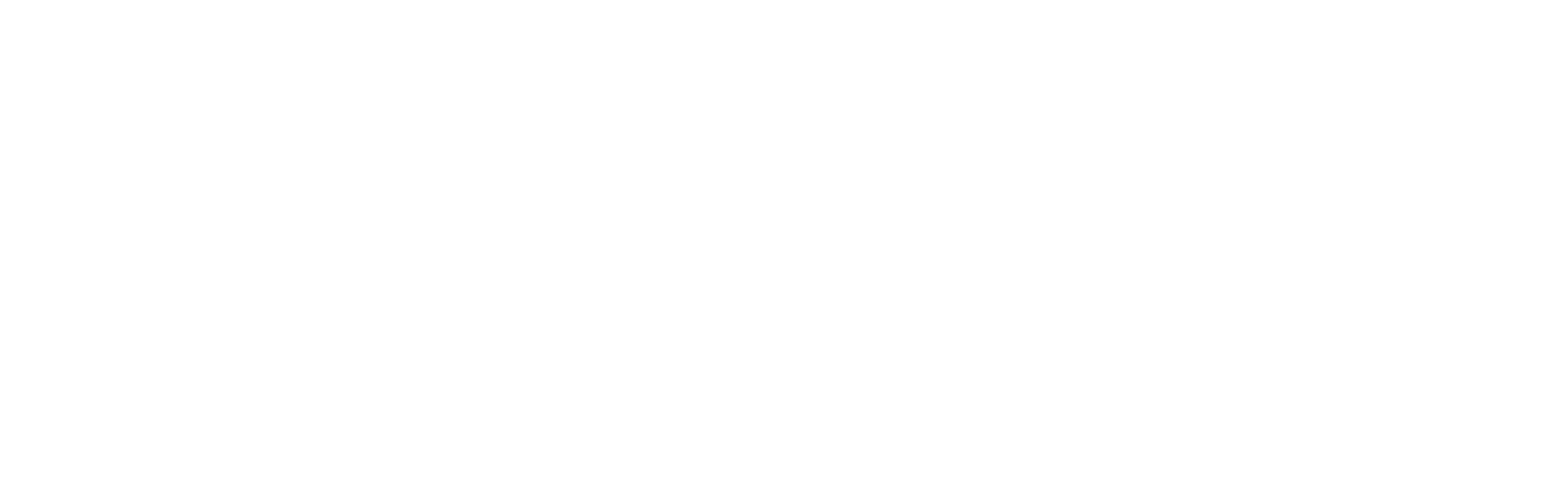 Netskope- SVG